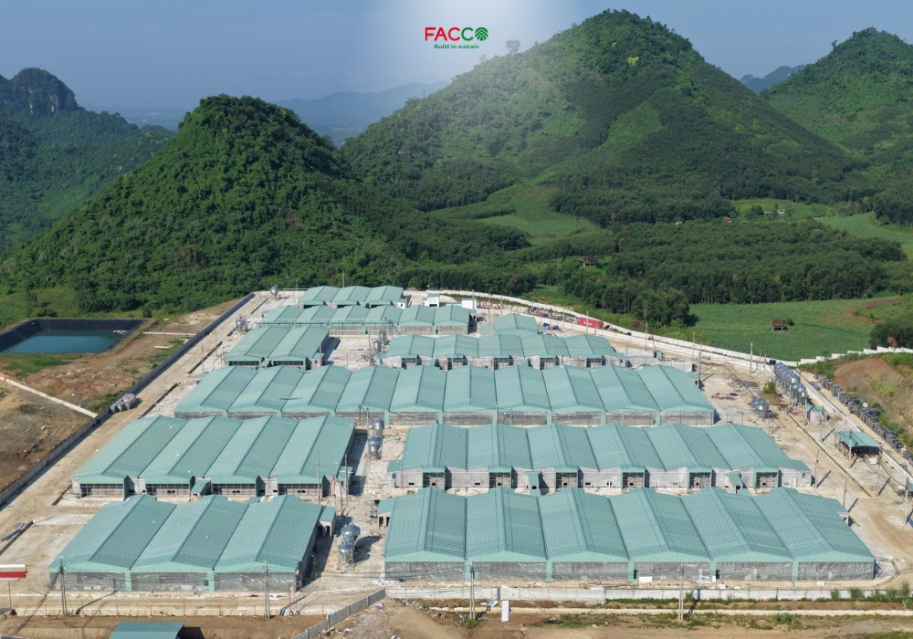 Ứng dụng nhà xưởng khung thép cho trang trại lợn