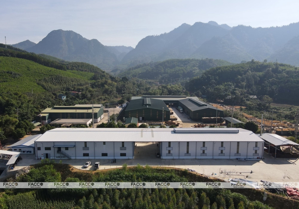 Nhà máy sản xuất sản phẩm gỗ dùng một lần